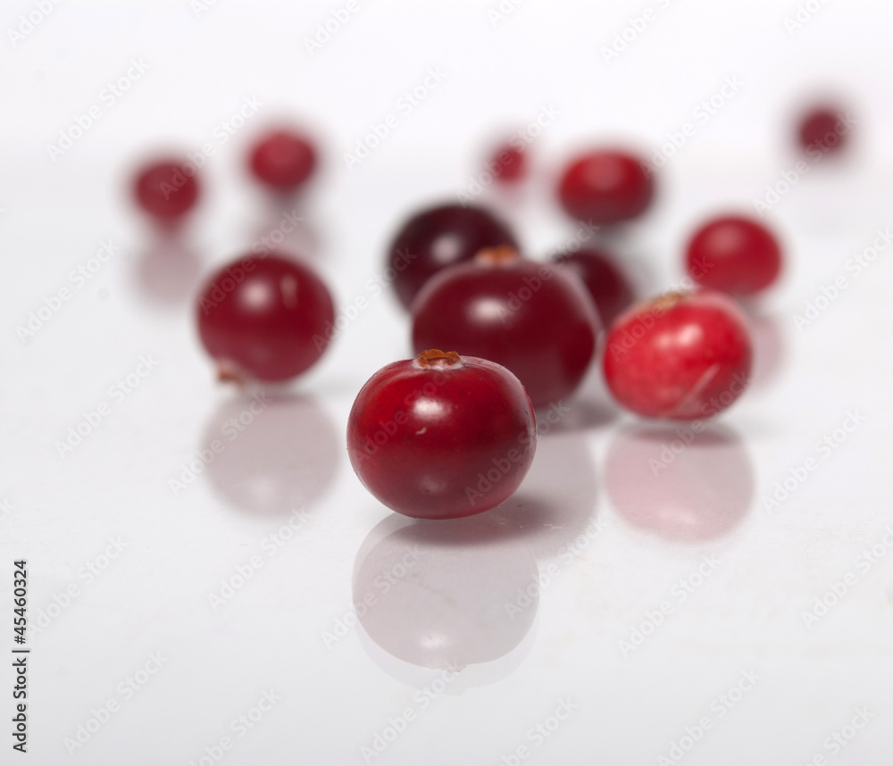 Cranberry Cranberry