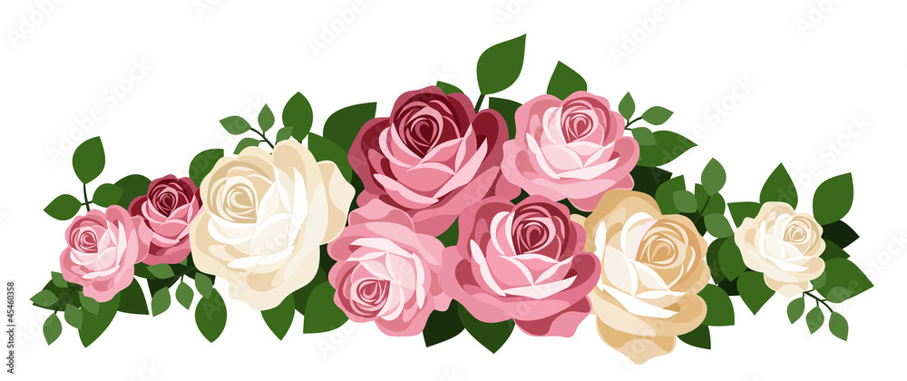 Fototapeta premium Pink and white roses. Vector illustration.