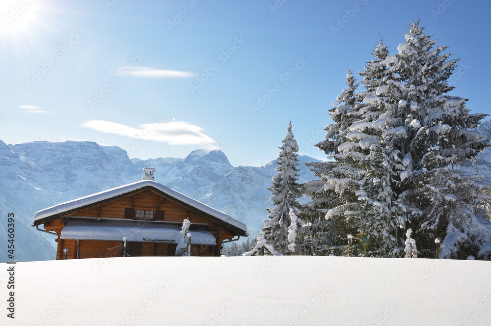 Alpine scenery, Braunwald, Switzerland