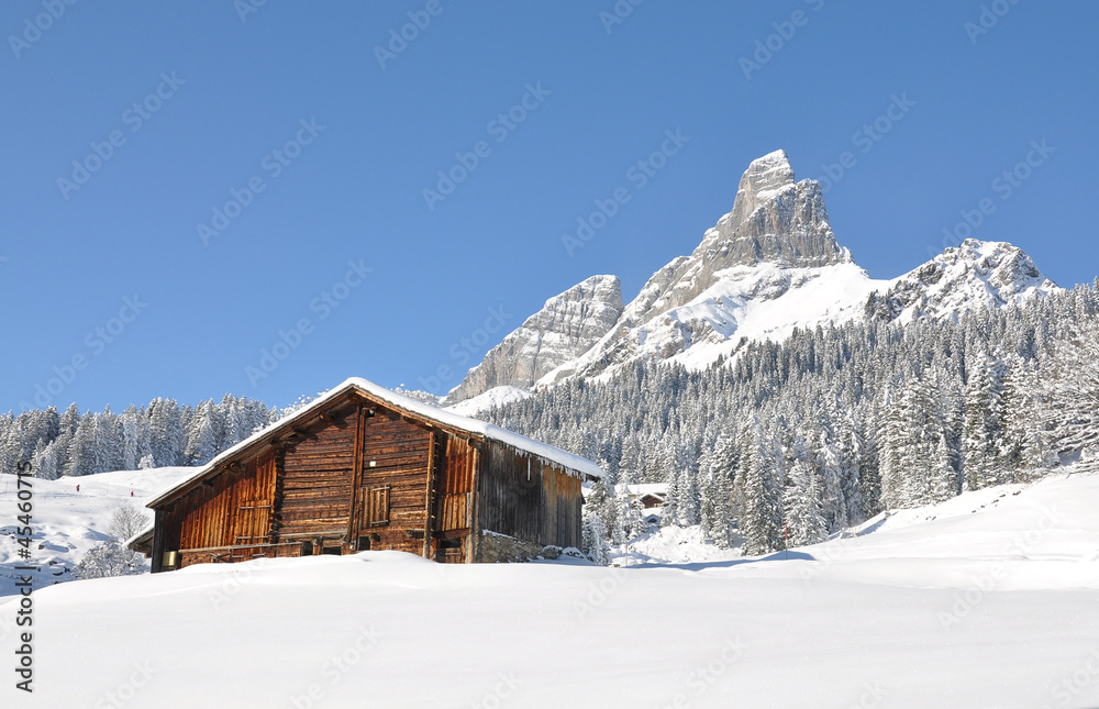 Alpine scenery