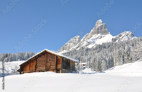 Alpine scenery