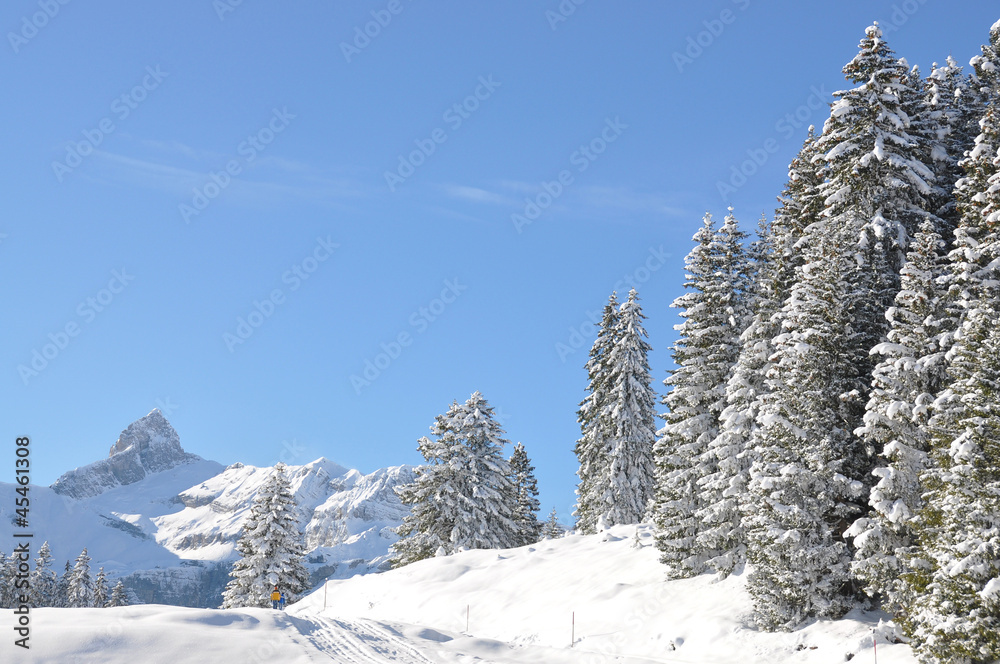 Braunwald, famous Swiss skiing resort Braunwald, famous Swiss skiing resort