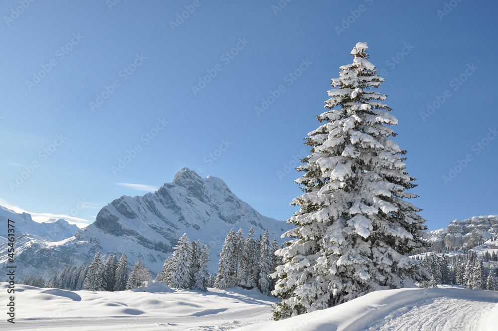 Fototapeta premium Braunwald, Switzerland