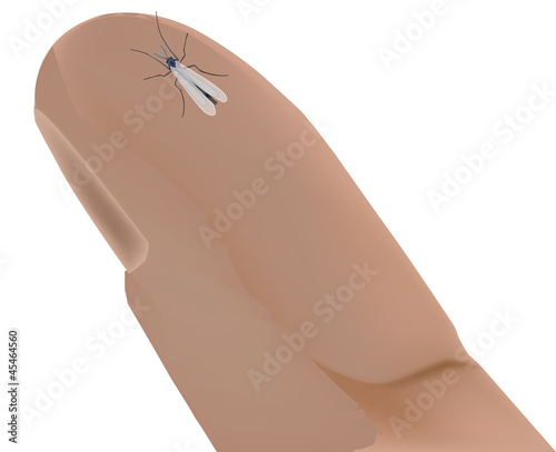 mosquito on a finger