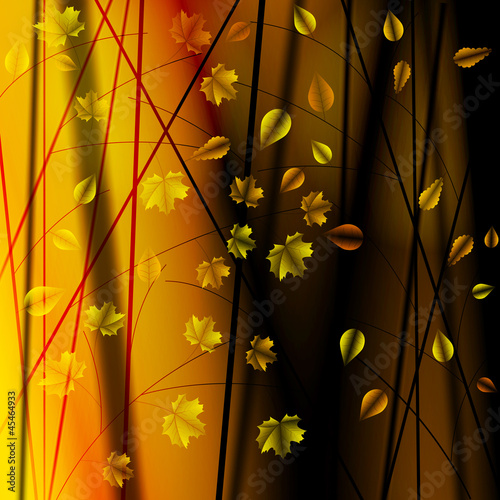 autumn bushes with leaves