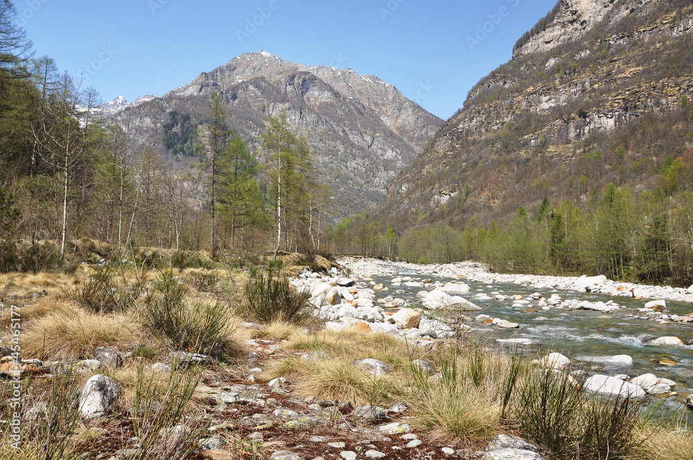 Fototapeta premium Verzasca valley, Switzerland