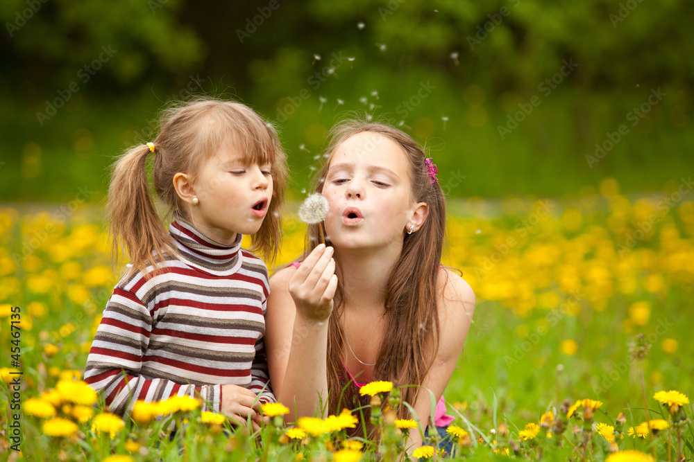 Little sisters blowing dandelion seeds away in the meadow Little sisters blowing dandelion seeds away in the meadow