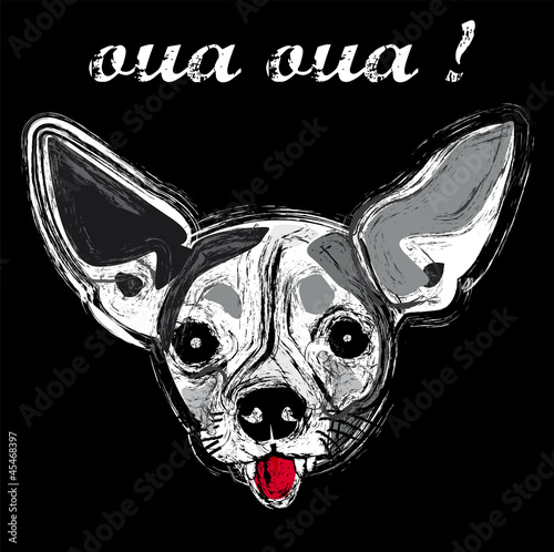 chien animal race face portrait gueule amour texte