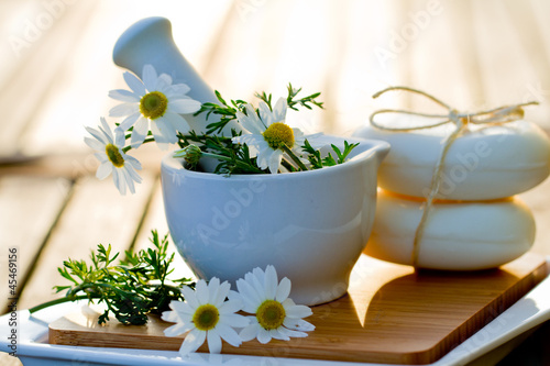 Camomile herbs in a mortar, healthy cosmetics concept