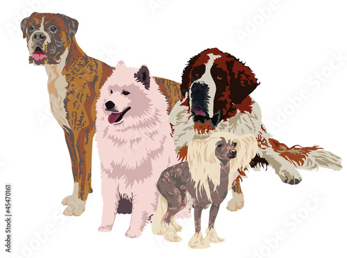 group of dogs of different breeds
