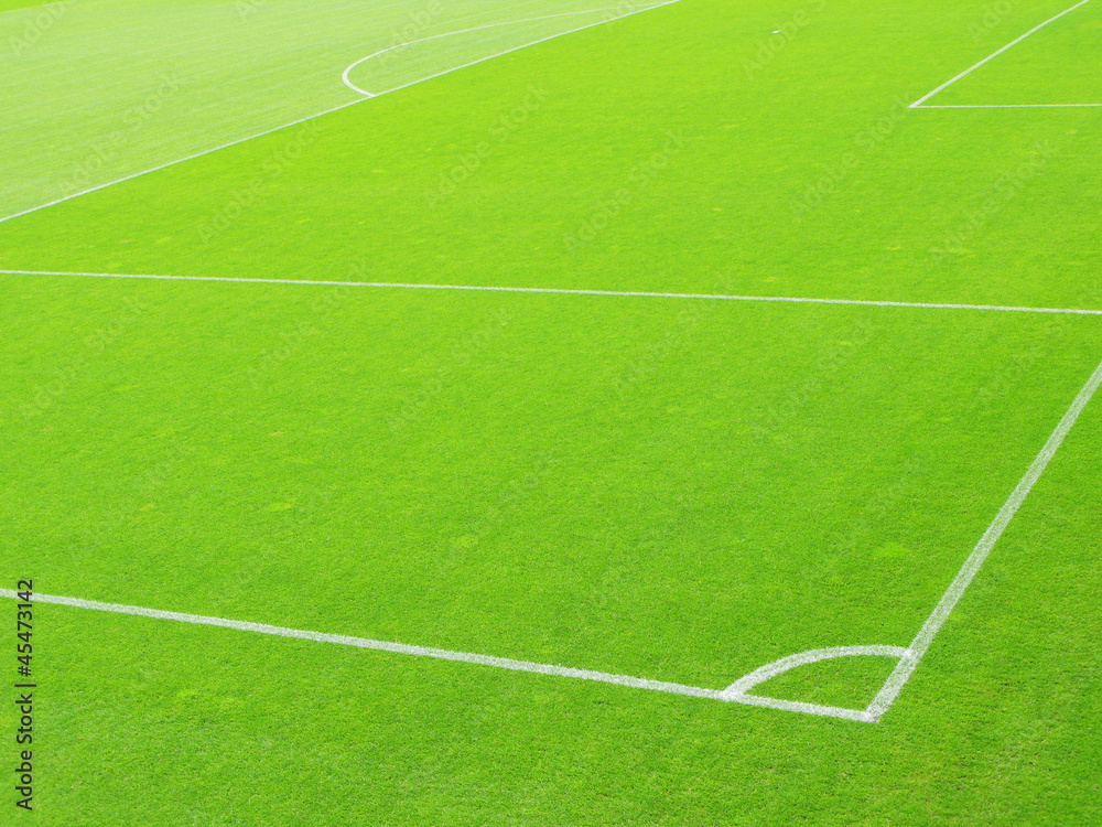 Obraz premium Soccer field