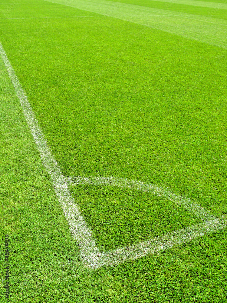 Obraz premium Soccer stadium
