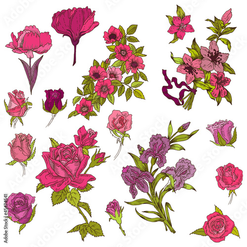 Detailed Hand Drawn Flowers - for scrapbook and design in vector