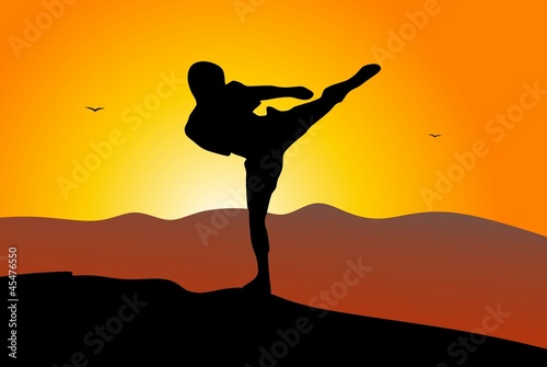 Silhouette of martial art - high kick and mountains - sunrise