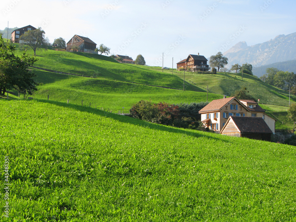 Obraz premium Scenic view in Voralp, Switzerland