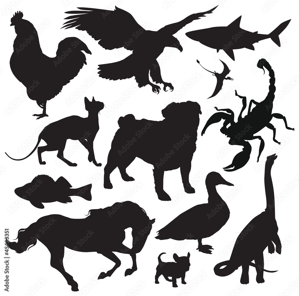 animals silhouette vector