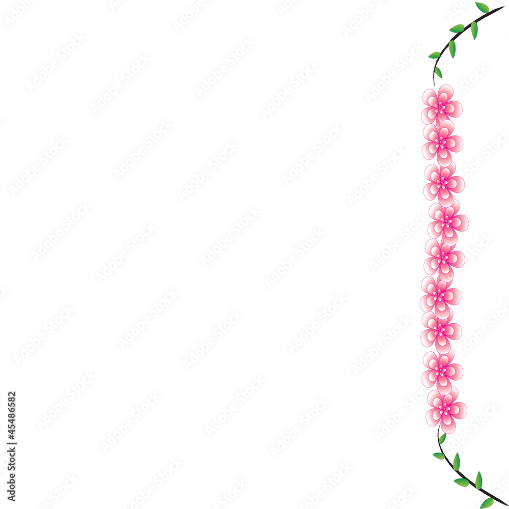 Fototapeta premium Flower of frame on background