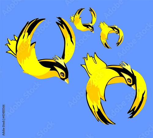 Four yellow and black birds flying in the sky together photo