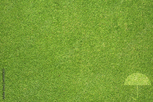 Umbrella icon on green grass texture and  background