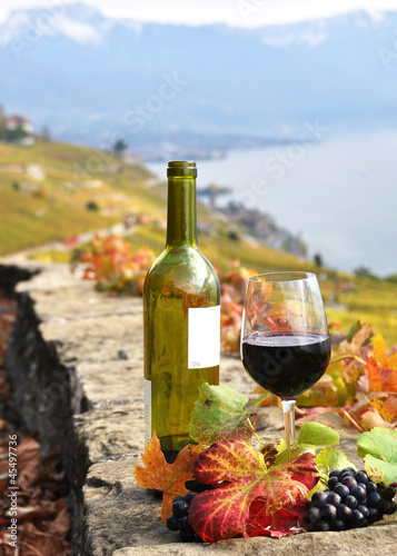 Fototapeta Naklejka Na Ścianę i Meble -  Red wine and grapes on the terrace vineyard in Lavaux region, Sw
