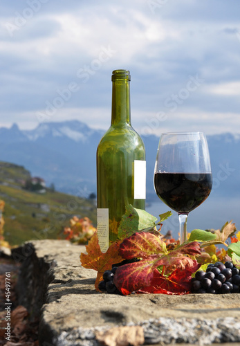 Fototapeta Naklejka Na Ścianę i Meble -  Red wine and grapes in Lavaux, Switzerland