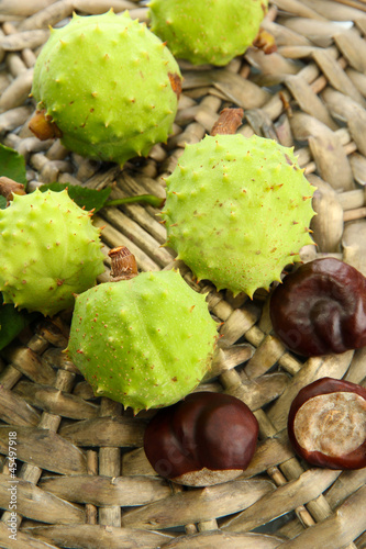 green chestnuts on wicker background