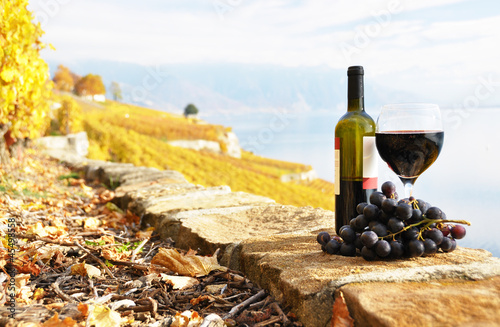 Fototapeta Naklejka Na Ścianę i Meble -  Red wine and grapes on the terrace of vineyard in Lavaux region,