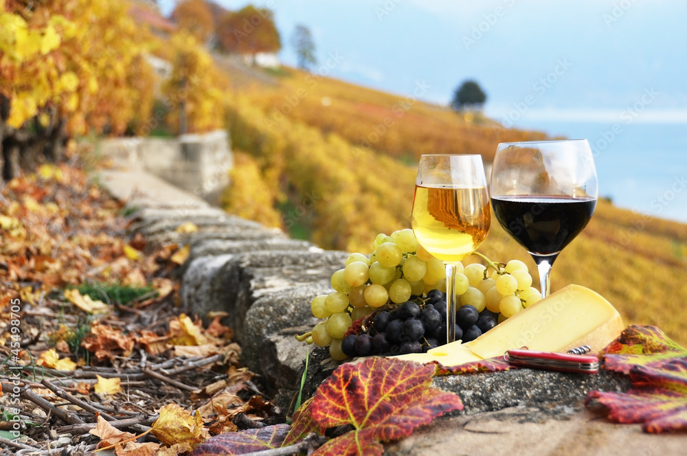 Two wineglasses, cheese and grapes on the terrace of vineyard in
