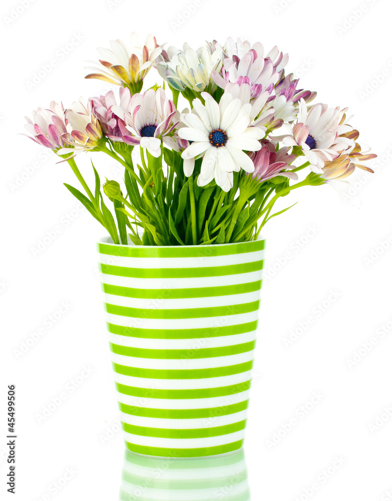 bouquet of beautiful summer flowers in vase, isolated on white