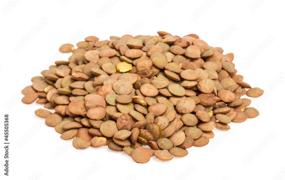 Lentils Isolated on White Background Lentils Isolated on White Background