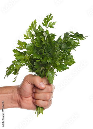 Hand with parsley