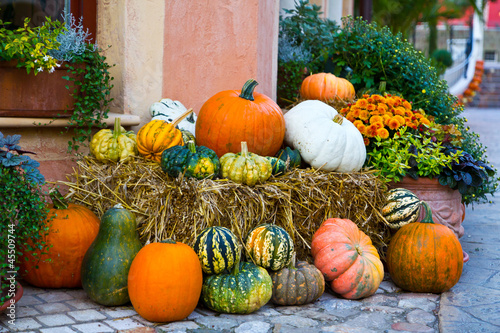 colorful pumpkin
