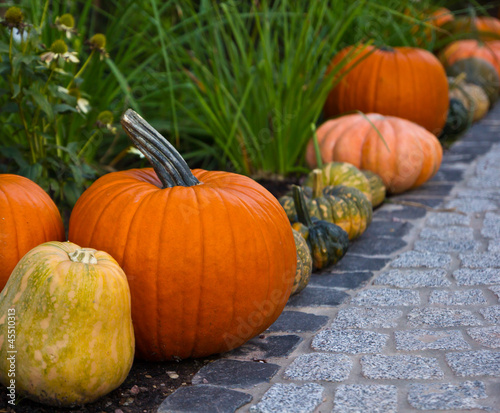 pumpkin