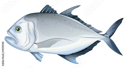 Giant trevally photo