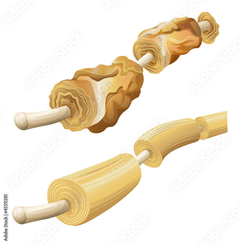 Damaged and healthy myelin sheaths