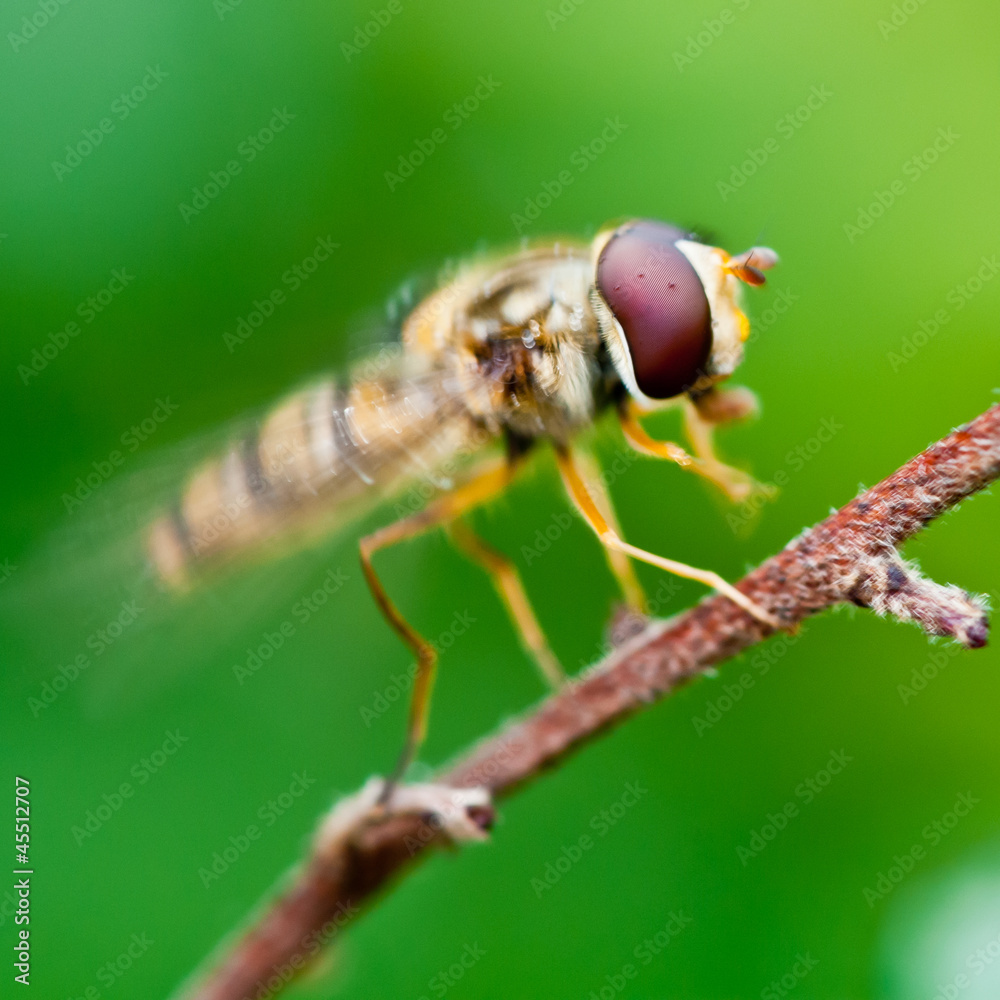 Naklejka premium Takeoff Imminent