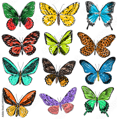 multicolored butterflies © makar