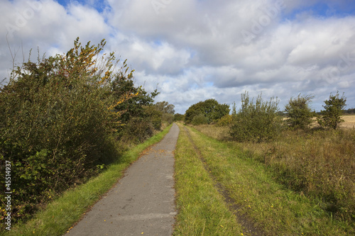 autumn cycle track