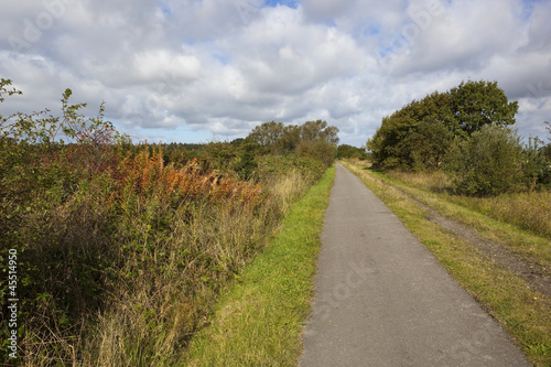 cycle track in autumn