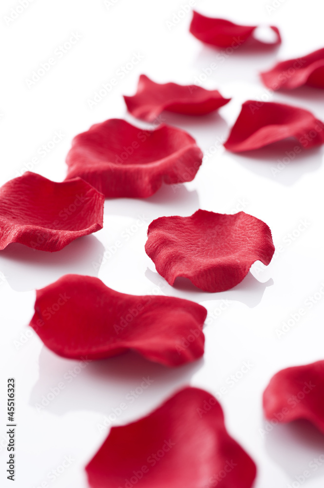 薔薇の花びら 薔薇の花びら
