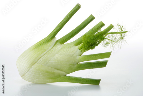 Fenchel 065