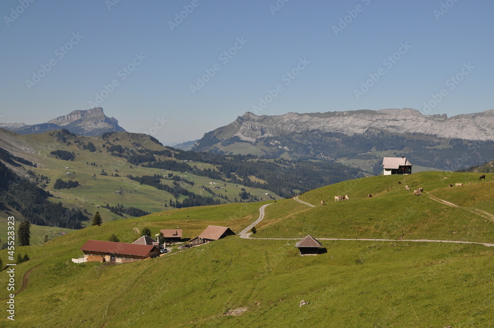 Alpe Jänzimatt mit Schrattenflue