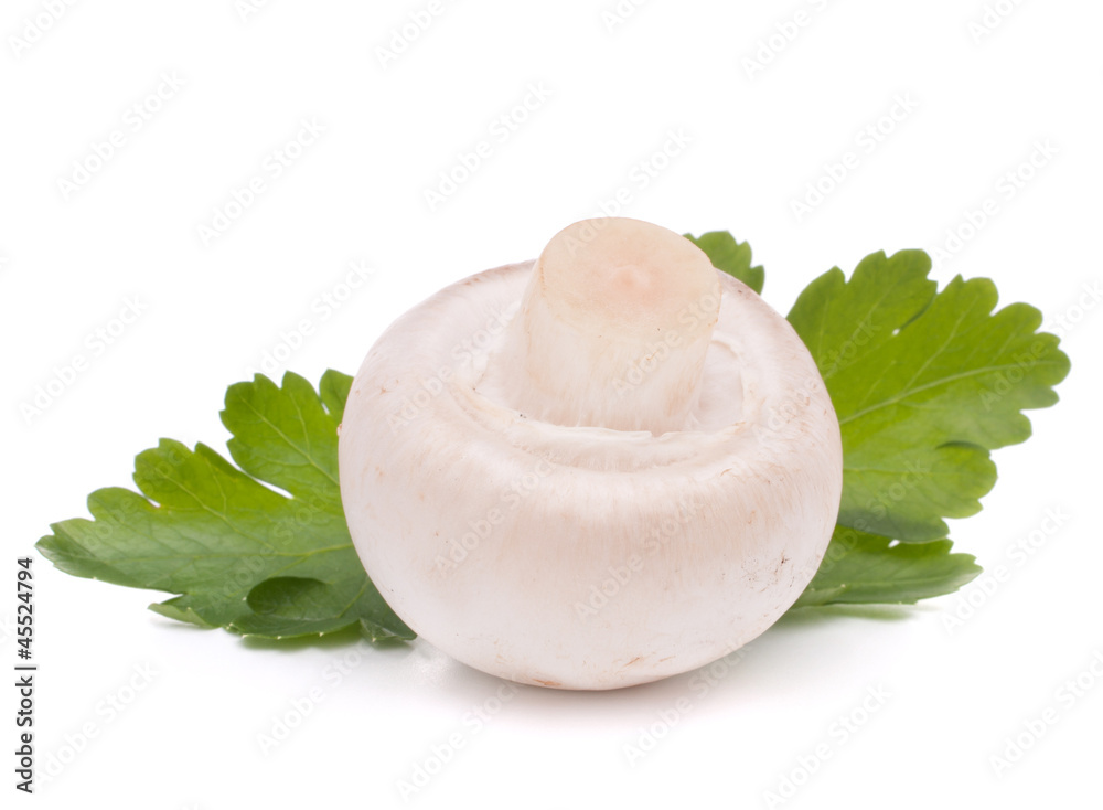 Champignon mushroom and parsley leaves Champignon mushroom and parsley leaves