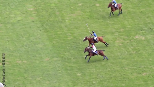 Polo match