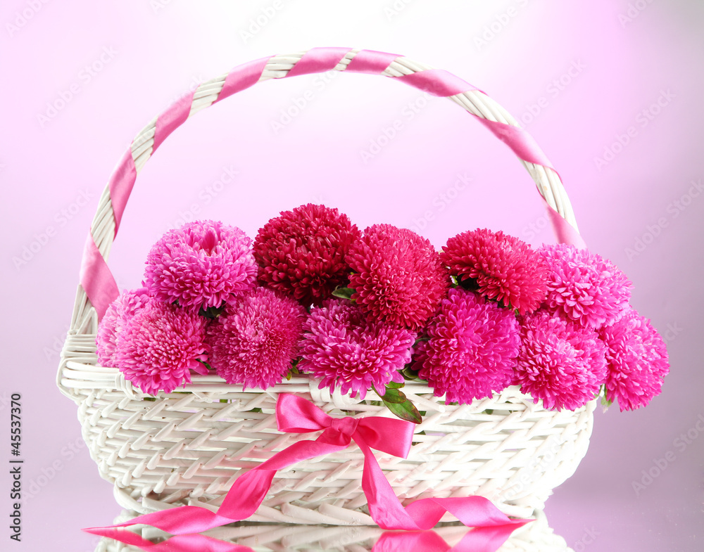 beautiful aster flowers in basket, on pink background beautiful aster flowers in basket, on pink background