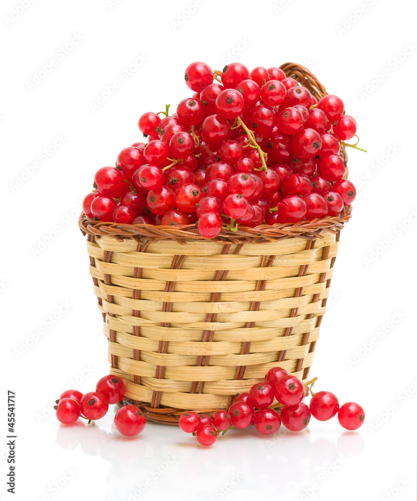 Red currant in a basket on a white background Red currant in a basket on a white background
