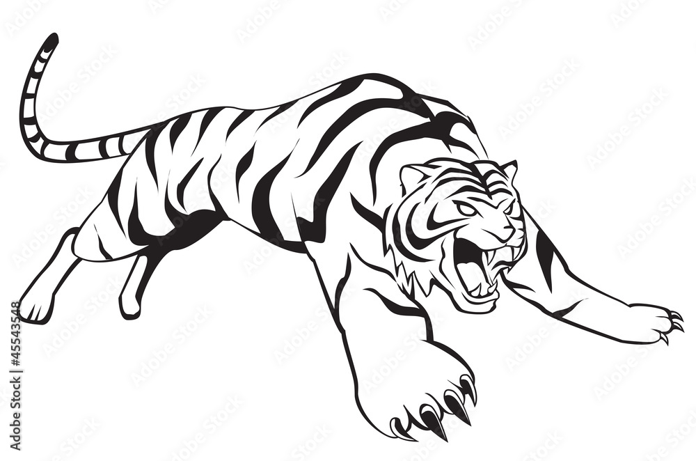 tiger jump