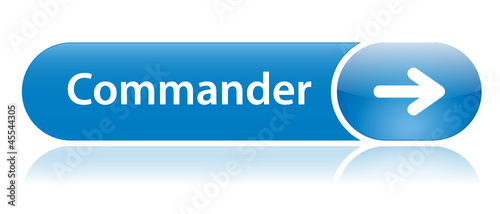 Bouton Web "COMMANDER" (commerce électronique ajouter au panier)