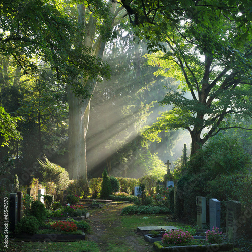 Bergfriedhof in Heidelberg