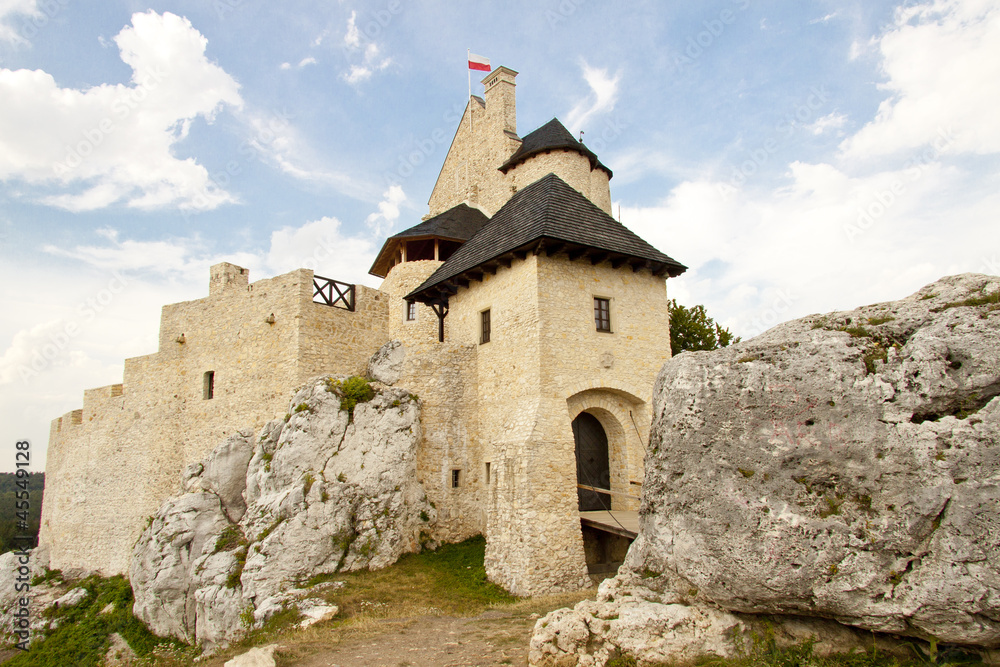 Silesia region - Bobolice Castle.